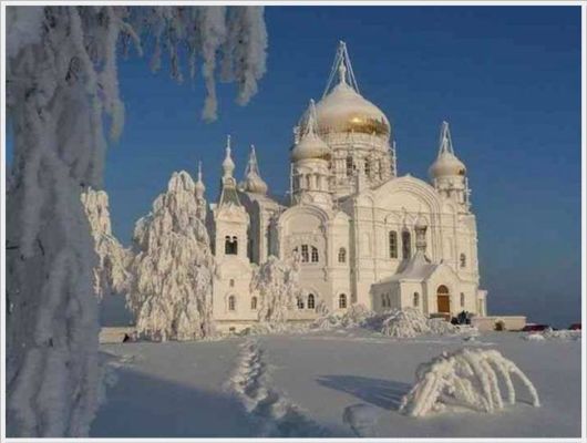 List Of The Most funnypics Shoplifted Items